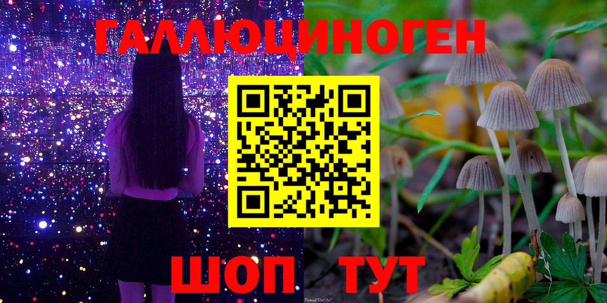 Галлюциногенные грибы Cubensis Приморско-Ахтарск